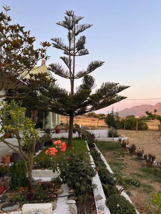 Borgo Majoca - Μονοκατοικία Σε Κυκλαδίτικο Νησί Mesi  Luaran gambar